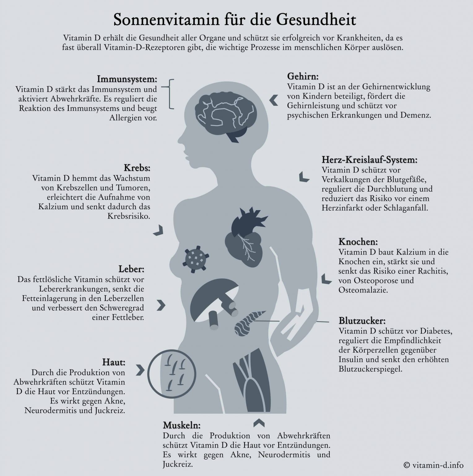 Vitamin D Mein Musthave bei der täglichen Supplementierung The